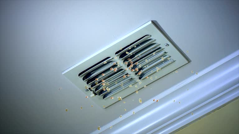 Best HVAC Duct Inspection Services  in Perry Hall, MD
